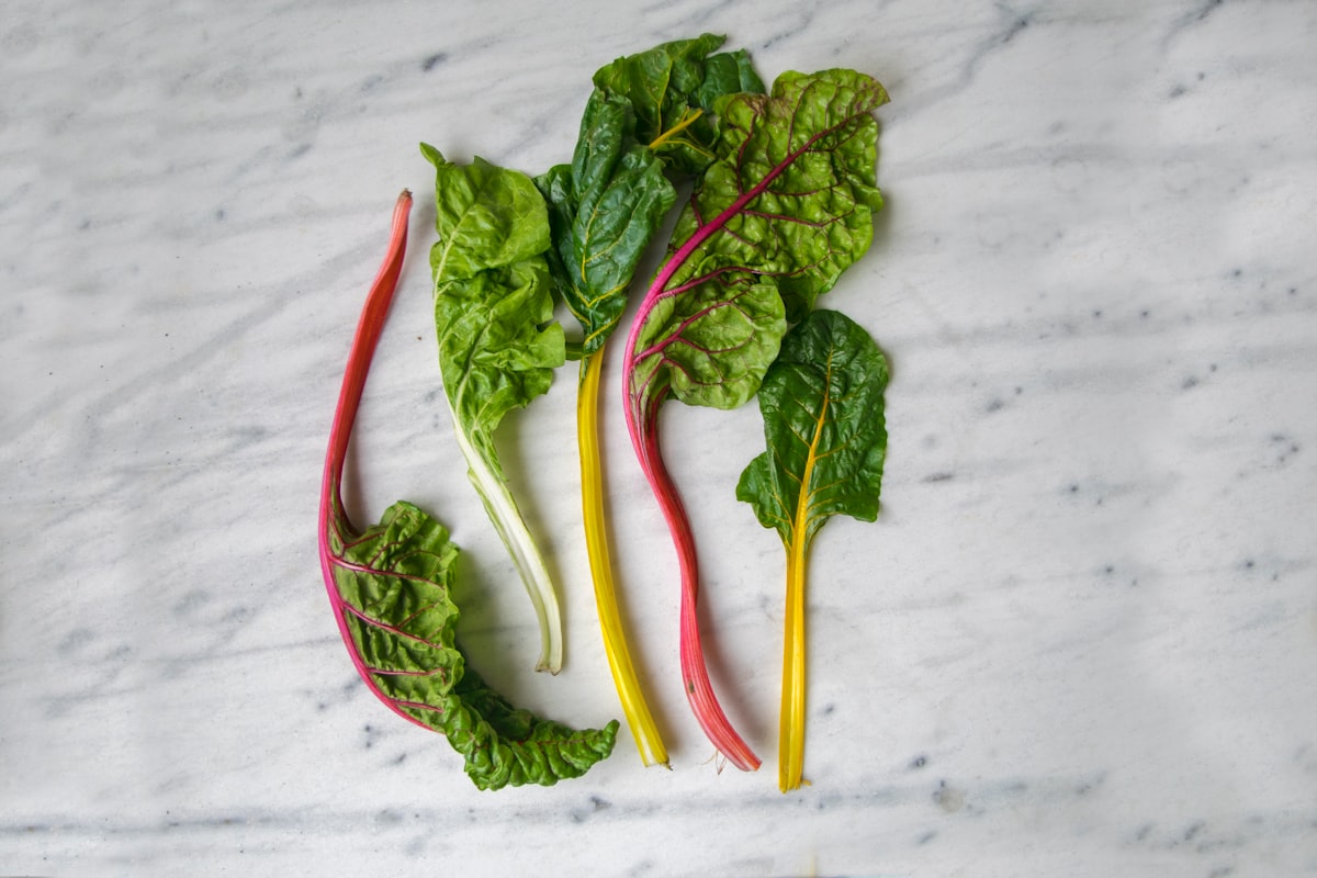 Légumes verts feuillus pour la santé osseuse